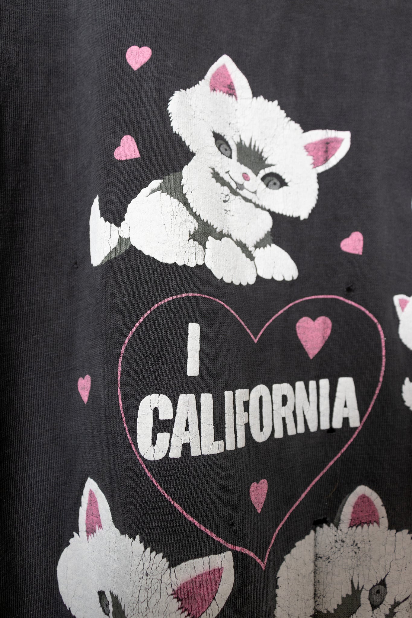 California Cats